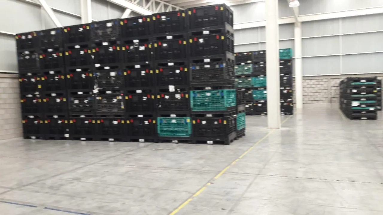 Bodega Aztecas